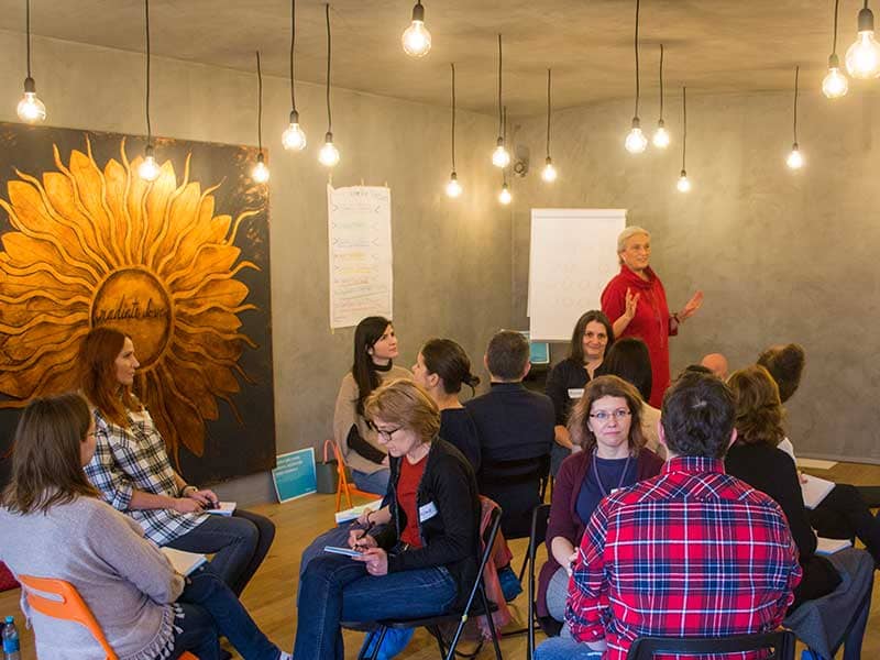 Școala de coaching Solutionsurfers PURE BRIEF Coaching Training