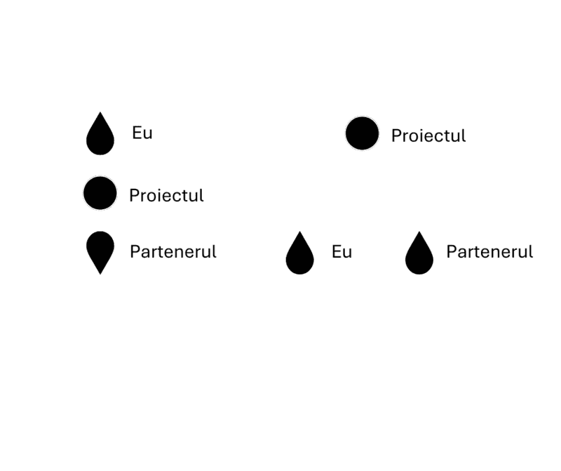 Coaching constelatii structurale sistemice Solutionsurfers Petra Muller Demary